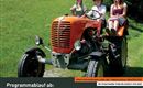 Ein Bild von einer Oldtimertreckerfahrt mit einem orangefarbenen Traktor und fröhlichen Fahrern. Im Hintergrund ist eine grüne Wiese zu sehen, ideal für die Veranstaltung am 14.9.2025.