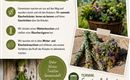 Ein Flyer für eine Kräuterwanderung, der Informationen zu Termin und Teilnahmegebühr enthält. Die Gestaltung ist naturverbunden mit grünen und weißen Elementen.