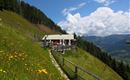 Viehhausalm