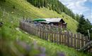 Eine gemütliche Almhütte liegt auf einer grünen Wiese, umgeben von Bäumen. Die Terrasse ist mit Tischen und Sonnenschirmen ausgestattet.