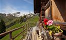 Viehhausalm Terrasse