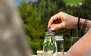 Eine Hand fügt eine Blume in ein Glas mit Wasser. Im Hintergrund sind grüne Hügel und ein blauer Himmel zu sehen.