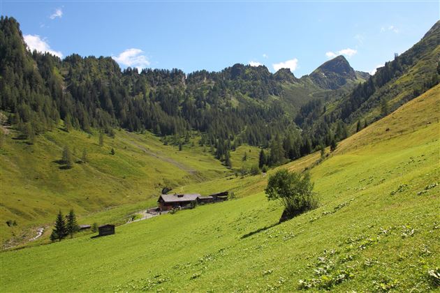 Aigenalm-Mandlhütte Umgebung