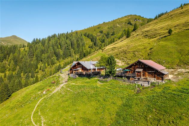 Eine ruhige Berghütte mit Holzbauweise, umgeben von grünen Wiesen und dichten Wäldern. Die Landschaft ist sonnig und friedlich, ideal für einen Ausblick in die Natur.