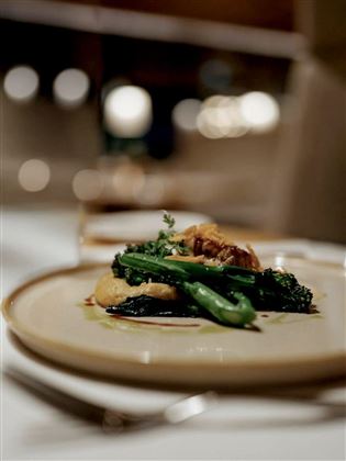 A plate with tender green beans and vegetables, garnished with fresh herbs. The presentation is elegant and attractively illuminated.