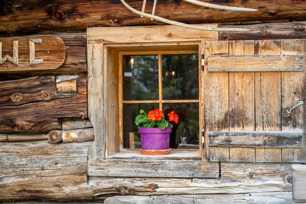 Ein Holzfenster mit einer pinken Blumentopf und Blumen darin. Der Rahmen ist rustikal und zeigt die Struktur des Holzes.