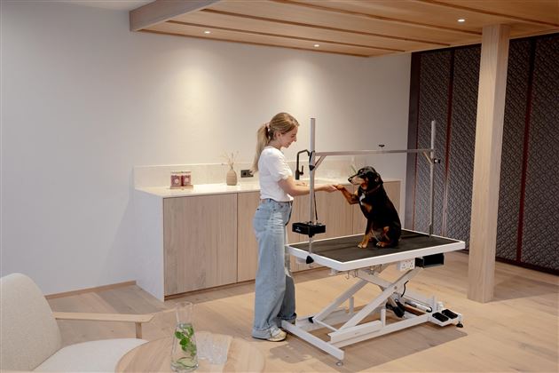Hunde Spa