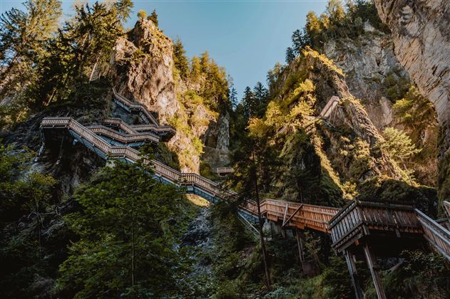 An impressive gorge with steep rocks and a wooden walkway winding through the trees. The image shows the sunny sides of the cliffs and the lush vegetation.