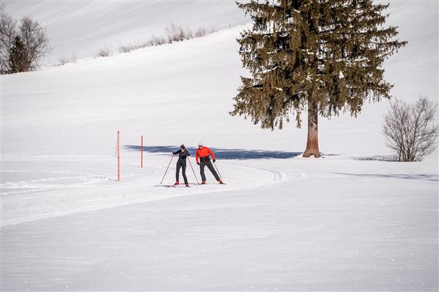 Zwei Skifahrer im Schnee, die sich gegenseitig unterstützen. Im Hintergrund steht ein großer Baum auf einer verschneiten Landschaft.