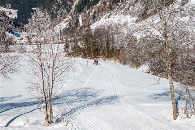 Eine winterliche Landschaft mit schneebedecktem Boden und Bäumen. Im Hintergrund fahren Skifahrer auf einer präparierten Piste.