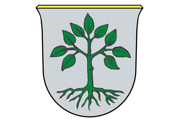 Logo Gemeinde Großarl