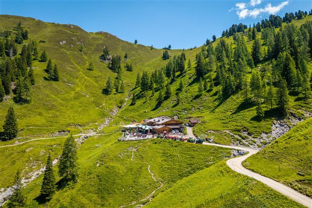 Eine malerische Alm in einer grünen Berglandschaft, umgeben von Bäumen und sanften Hügeln. Der Himmel ist blau und sonnig, was eine einladende Atmosphäre schafft.