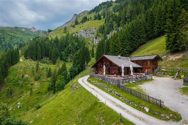 Eine idyllische Berghütte umgeben von üppigen Wäldern und sanften Hügeln. Der Weg führt zu der charmanten Hütte in der malerischen Alpenlandschaft.