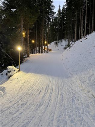 Rodelbahn Lammwirt beleuchtet