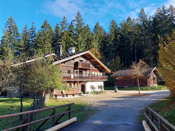 A picturesque mountain hut surrounded by trees and a clear blue sky. The path leads to other charming buildings nearby.