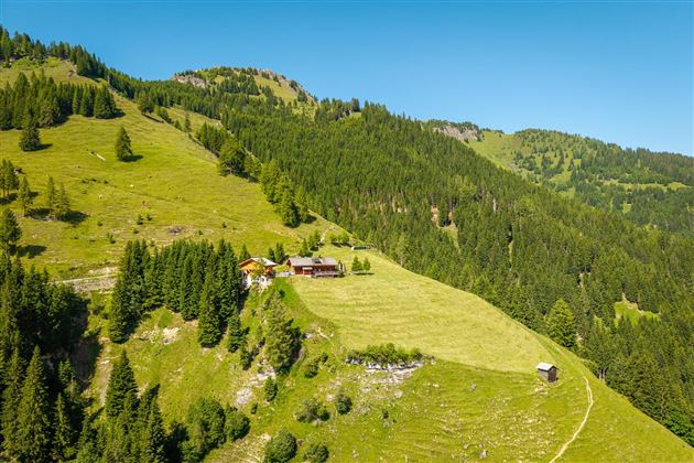 Eine malerische Berglandschaft mit saftigen Wiesen und dichten Wäldern. Im Hintergrund sind traditionelle Almhütten zu sehen.