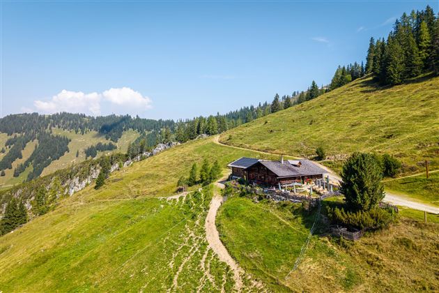 Ein malerisches Bergland mit grünen Wiesen und einem Holzhaus. Der klare Himmel und die umliegenden Bäume verleihen der Landschaft eine ruhige Atmosphäre.