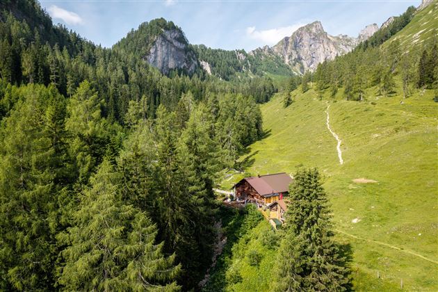 A picturesque alpine village surrounded by high mountains and dense forests. The green slope and the blue sky create a calm, natural atmosphere.