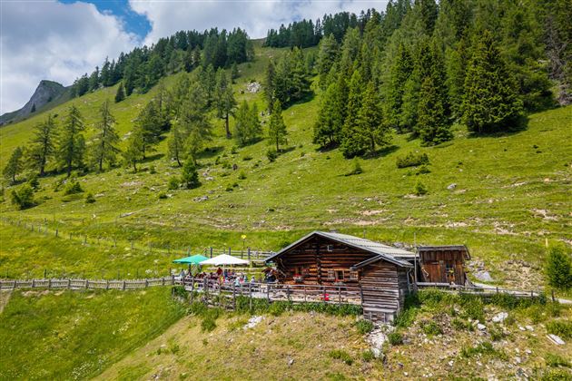 Eine gemütliche Almhütte in einer grünen Berglandschaft. Rundherum wachsen Bäume und die Sonne scheint.