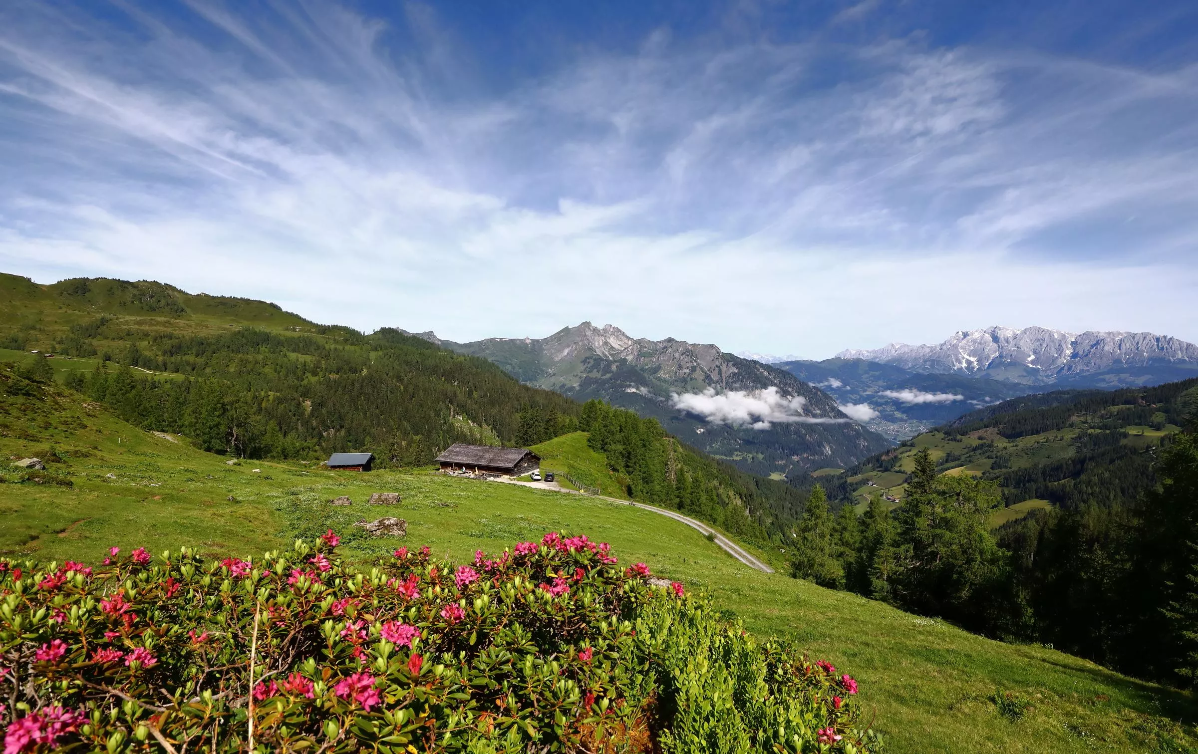 Großwildalm, 1.778 m
