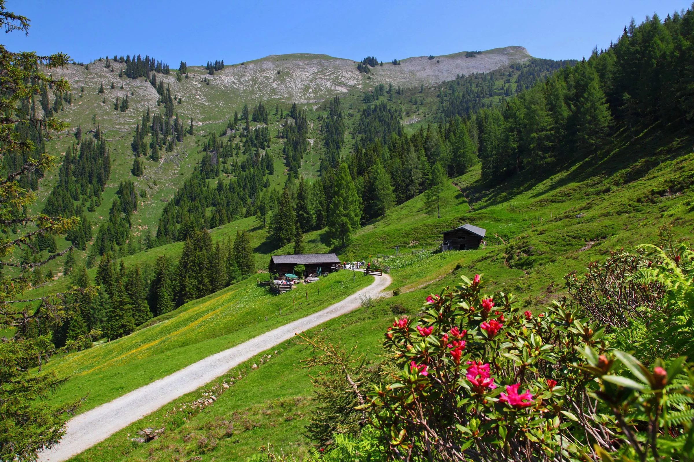 Karseggalm, 1.603 m