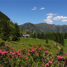 Hirschgrubenalm, 1564 m
