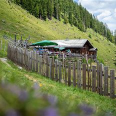 Viehhausalm, 1.640 m