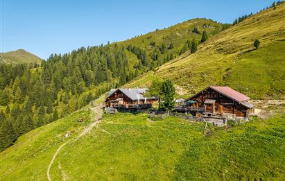 Eine ruhige Berghütte mit Holzbauweise, umgeben von grünen Wiesen und dichten Wäldern. Die Landschaft ist sonnig und friedlich, ideal für einen Ausblick in die Natur.