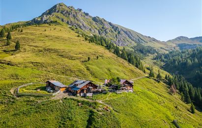 Eine malerische Berglandschaft mit saftigem Grün und sanften Hügeln. Im Vordergrund steht eine gemütliche Almhütte, umgeben von Bäumen und Bergen.