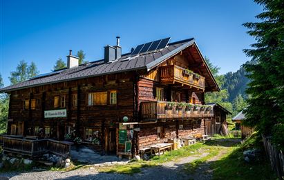 Ein charmantes Holzhaus im Alpenstil mit Balkonen und einem sonnigen Garten. Umgeben von grünen Bäumen und einem klaren blauen Himmel.