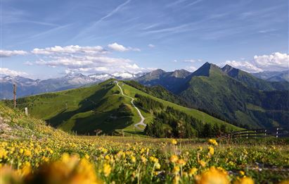 Großarler Bergbahnen