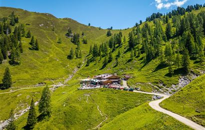 A picturesque alpine meadow in a green mountain landscape, surrounded by trees and gentle hills. The sky is blue and sunny, creating an inviting atmosphere.