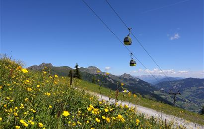 Eine grüne Wiese mit bunten Blumen und einer Seilbahn, die über die Berge schwebt. Der Himmel ist klar und blau mit vereinzelten Wolken.