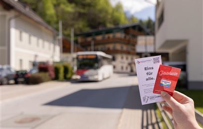 Postbus Linie 541 (Großarl-Ellmautal-Grundlehen)