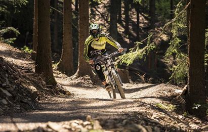 Ein Radfahrer fährt auf einem schmalen Weg durch einen dichten Wald. Die Sonne scheint durch die Bäume und schafft eine lebendige Atmosphäre.