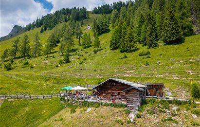 Eine gemütliche Almhütte in einer grünen Berglandschaft. Rundherum wachsen Bäume und die Sonne scheint.