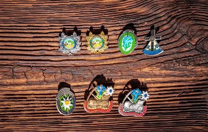 Alle Wandernadeln vom Großarltal auf einer Holzunterlage