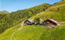 Eine ruhige Berghütte mit Holzbauweise, umgeben von grünen Wiesen und dichten Wäldern. Die Landschaft ist sonnig und friedlich, ideal für einen Ausblick in die Natur.