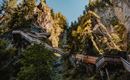 An impressive gorge with steep rocks and a wooden walkway winding through the trees. The image shows the sunny sides of the cliffs and the lush vegetation.