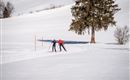 Zwei Skifahrer im Schnee, die sich gegenseitig unterstützen. Im Hintergrund steht ein großer Baum auf einer verschneiten Landschaft.