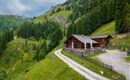 Eine idyllische Berghütte umgeben von üppigen Wäldern und sanften Hügeln. Der Weg führt zu der charmanten Hütte in der malerischen Alpenlandschaft.