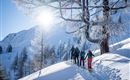 Ski tourers during the ascent