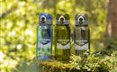 Three water bottles in different colors are standing on a moss-covered stone in the forest. The bottles are printed with the inscription "GROSSARLTAL".