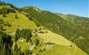 Eine malerische Berglandschaft mit saftigen Wiesen und dichten Wäldern. Im Hintergrund sind traditionelle Almhütten zu sehen.