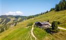 Ein malerisches Bergland mit grünen Wiesen und einem Holzhaus. Der klare Himmel und die umliegenden Bäume verleihen der Landschaft eine ruhige Atmosphäre.