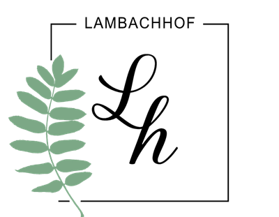 Ein stilisiertes Blatt in einem sanften Grünton. Der Hintergrund ist schwarz, wodurch das Blatt accentuiert wird.