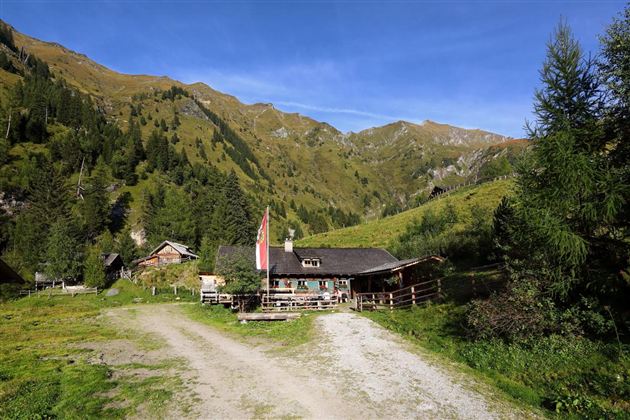 Ein typisches alpenländisches Haus in einer malerischen Berglandschaft. Die Umgebung ist grün mit Bergen im Hintergrund und einem klaren blauen Himmel.