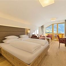 Double room, shower, toilet, superior