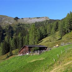 Donnerstag | E-Bike-Tour | Karseggalm