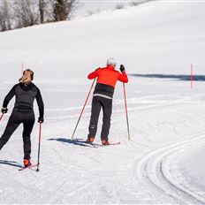 Langlauf-Tageskarten